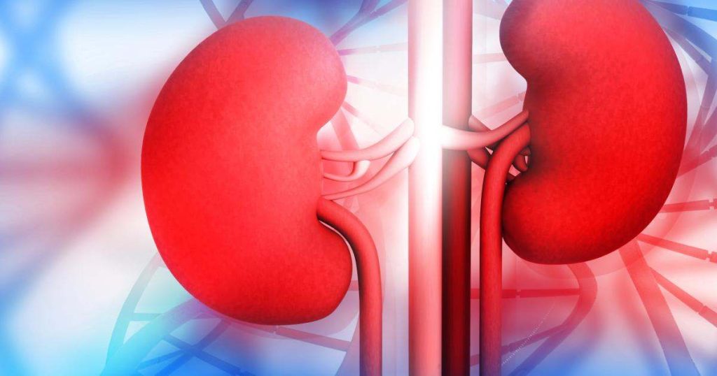 Da li postoje rizici od prekomernog unosa proteina kod dijabetičara?